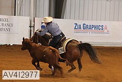 av4i2977 thumbnail