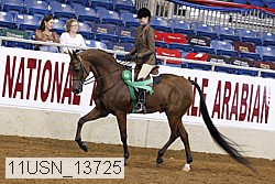 11usn_13725 thumbnail