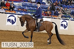 11usn_20238 thumbnail