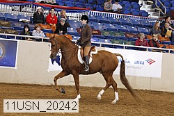 11usn_20242 thumbnail