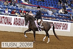 11usn_20266 thumbnail