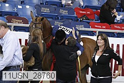 11usn_28760 thumbnail