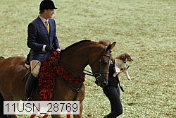 11usn_28769 thumbnail