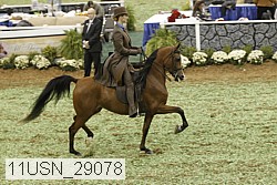 11usn_29078 thumbnail