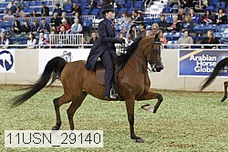11usn_29140 thumbnail