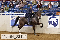 11usn_23124 thumbnail