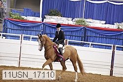 11usn_17110 thumbnail