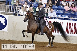 11usn_10283 thumbnail