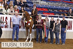 11usn_11606 thumbnail