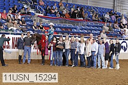 11usn_15294 thumbnail