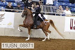 11usn_08871 thumbnail