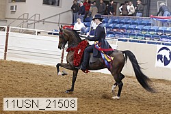 11usn_21508 thumbnail