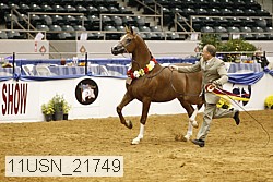 11usn_21749 thumbnail