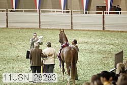 11usn_28283 thumbnail