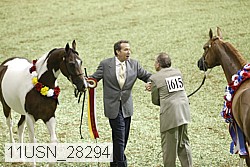 11usn_28294 thumbnail