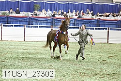 11usn_28302 thumbnail