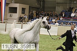 11usn_35981 thumbnail
