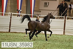 11usn_35982 thumbnail