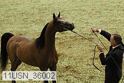 11usn_36002 thumbnail