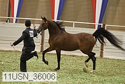 11usn_36006 thumbnail