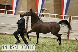 11usn_36010 thumbnail