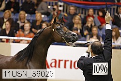 11usn_36025 thumbnail