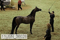 11usn_36028 thumbnail