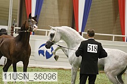 11usn_36096 thumbnail