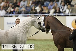 11usn_36098 thumbnail