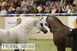 11usn_36099 thumbnail