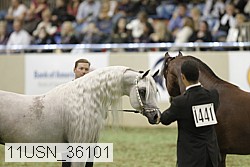 11usn_36101 thumbnail