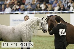 11usn_36103 thumbnail
