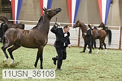 11usn_36108 thumbnail