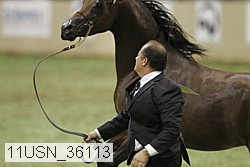 11usn_36113 thumbnail