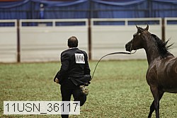 11usn_36117 thumbnail