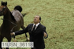 11usn_36118 thumbnail