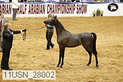 11usn_28002 thumbnail