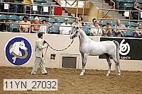 11yn_27032 thumbnail