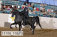 11yn_11673 thumbnail