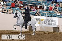 11yn_11675 thumbnail