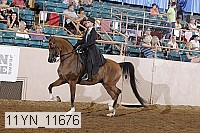 11yn_11676 thumbnail