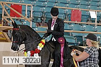11yn_30220 thumbnail