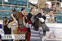 11yn_30229 thumbnail