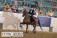 11yn_30262 thumbnail