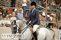 11yn_29863 thumbnail