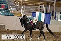 11yn_29896 thumbnail