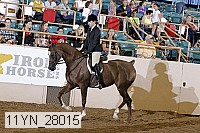 11yn_28015 thumbnail