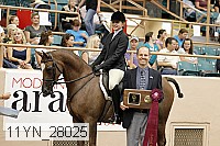11yn_28025 thumbnail