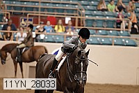 11yn_28033 thumbnail
