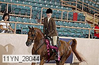 11yn_28044 thumbnail